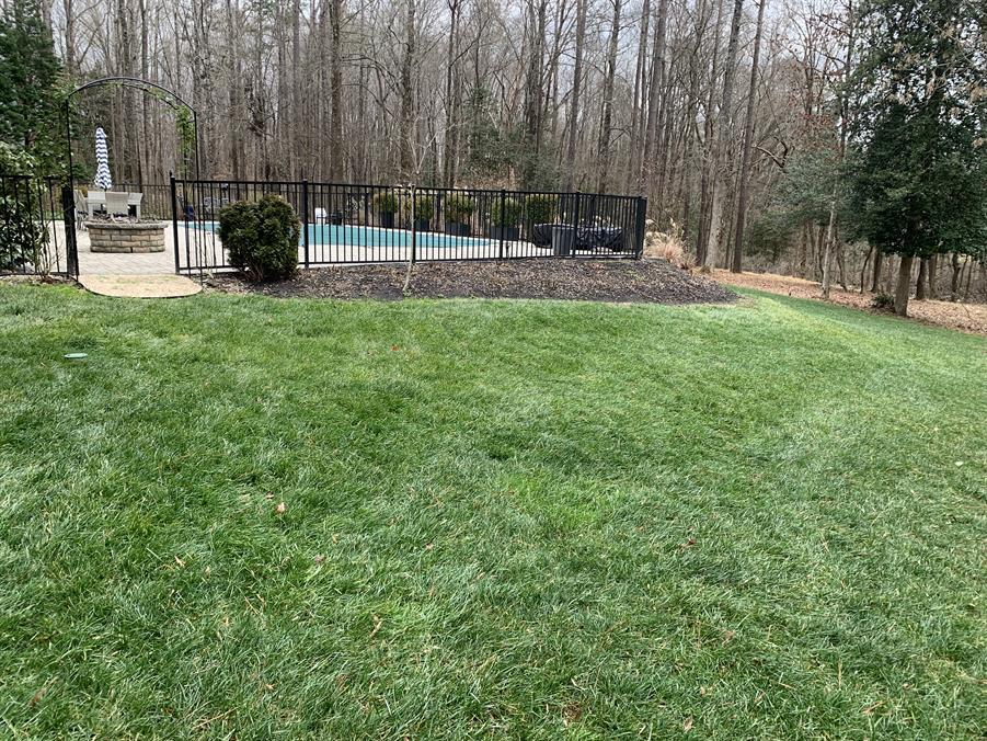 existing pool and yard without pool house